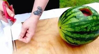 文安吃瓜地,揭秘民间趣事,品味生活百态 第3张 文安吃瓜地,揭秘民间趣事,品味生活百态 第3张