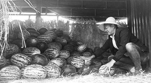 庄河吃瓜群众案件,揭秘网络谣言背后的真相 第2张 庄河吃瓜群众案件,揭秘网络谣言背后的真相 第2张